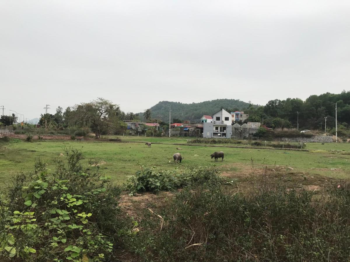 Bee Lucky Homestay Xuan Dam Kültér fotó